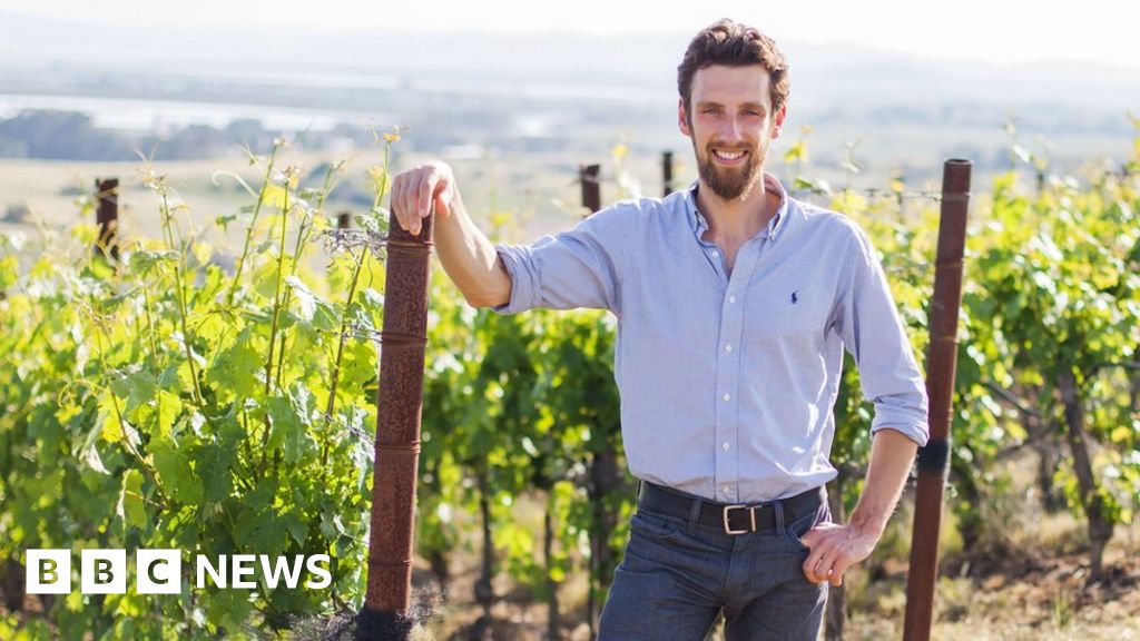 'AI helps me make wine for younger drinkers' - BBC News