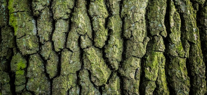 Tools for sustainability in cloud computing - DevOps.com